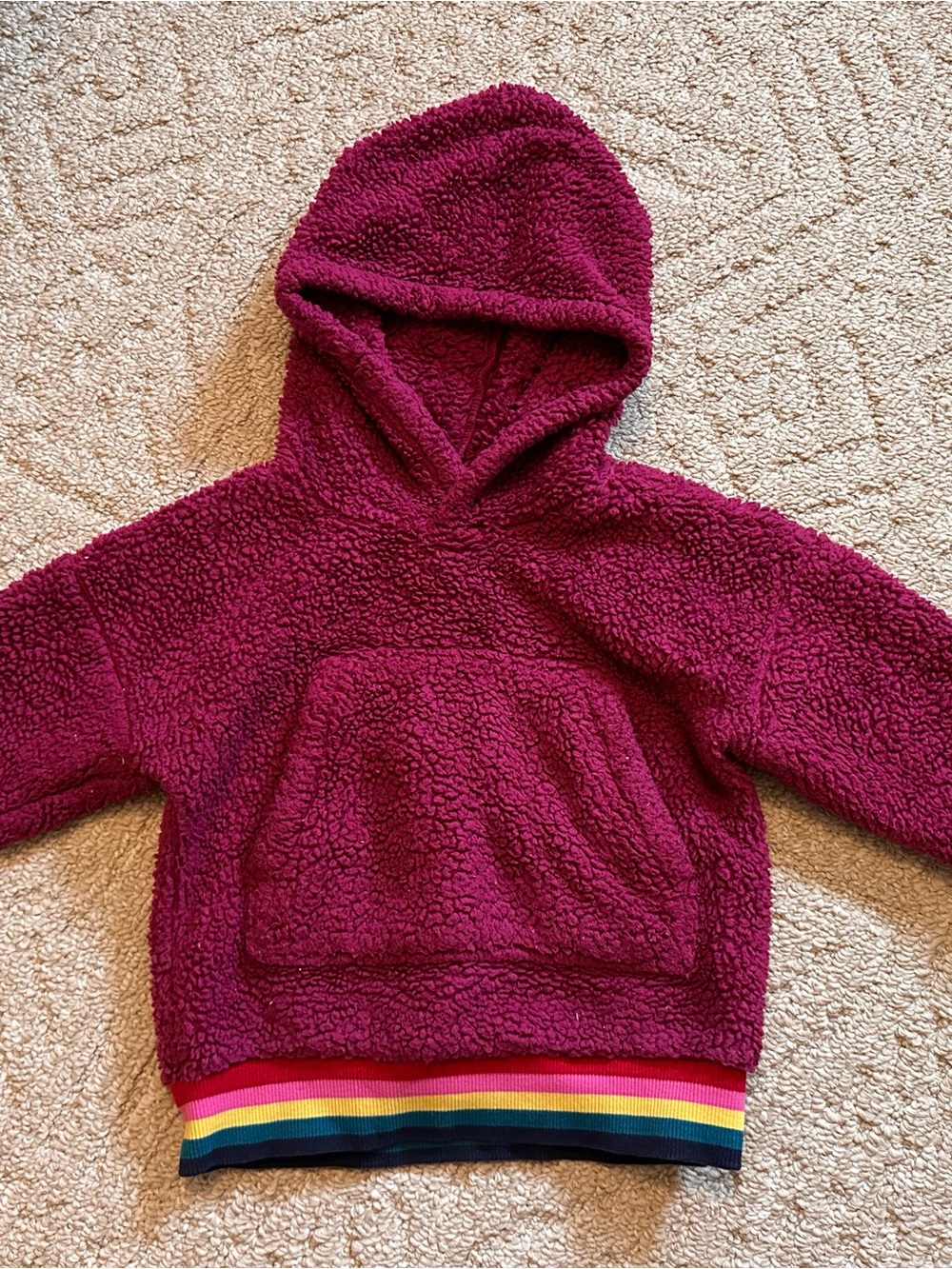 Hanna Andersson Berry Fuzzy Hooded Pullover with Rainbow Hem
